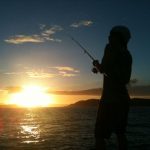 朝マズメ、夕マズメとは!両マズメがよく釣れる理由